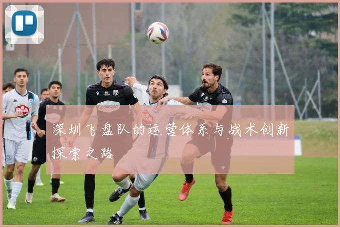 深圳飞盘队的运营体系与战术创新探索之路